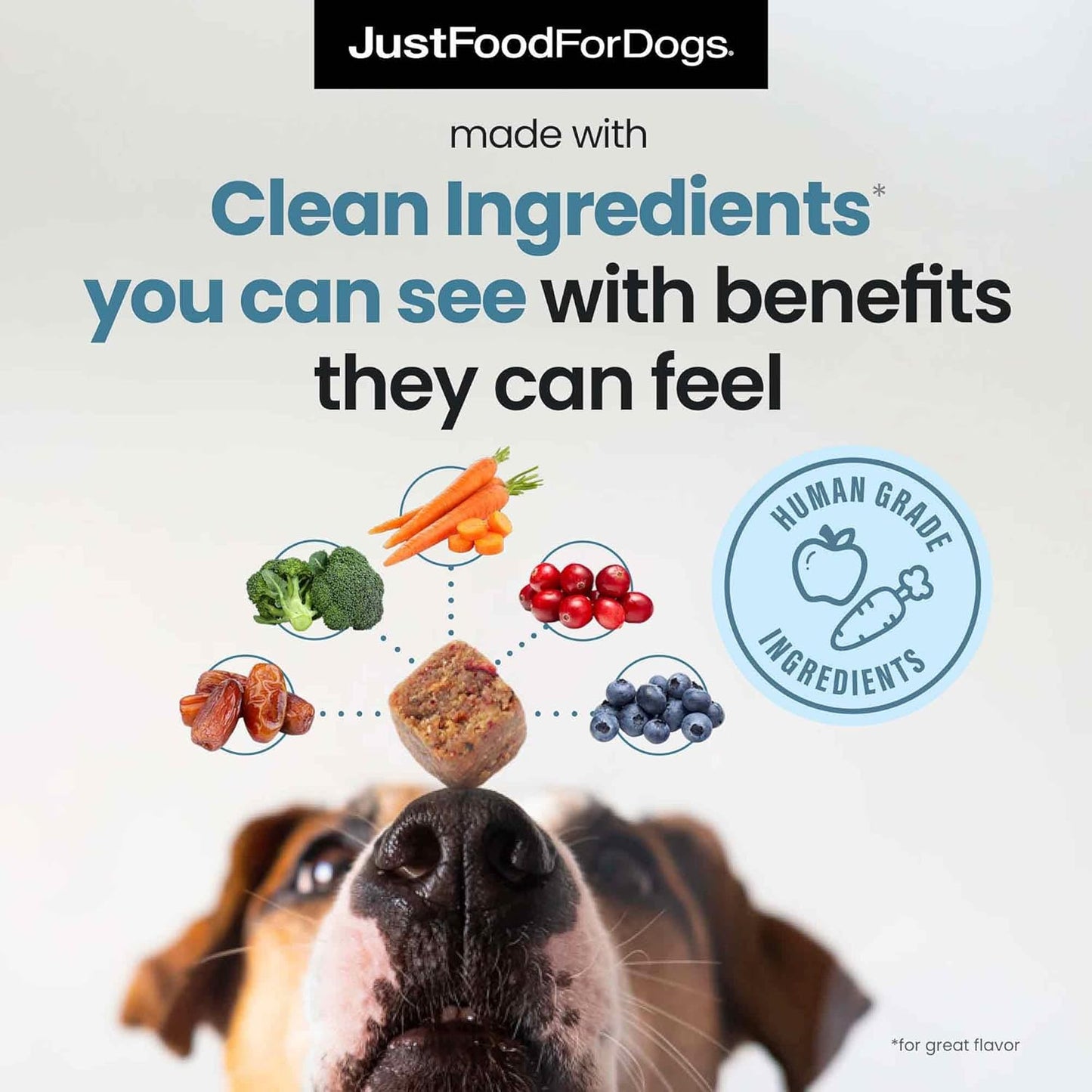 JustFoodForDogs Calming Supplement for Dogs Soft Chew to Support Stress and Anxiety, Melatonin, Relaxation Aid, Human-Grade Ingredients - 45 Count - Pet Explorer