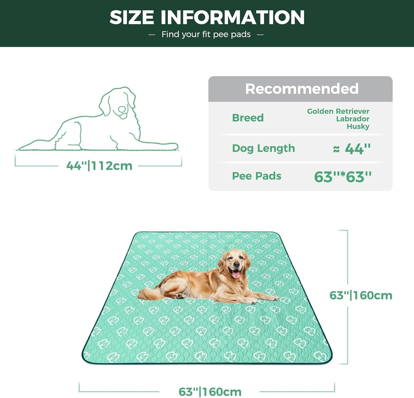 FXW Washable Pee Pads for Dogs, Puppy Pads with Super Absorbent, Specifically Designed for FXW Rollick/Homeplus 24inch 8 Panels Dog Playpen, 63" Square, Green, 1 Pack - Pet Explorer