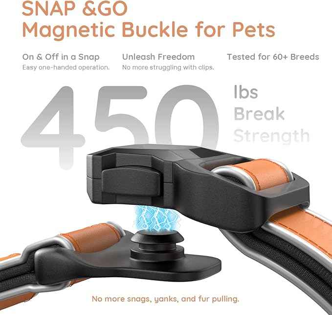 WhoseID Premium Leather Dog Collar - AirTag Dog Collar | Fur-Safe Magnetic Buckle | IPX8 Waterproof Reflective Small Dog Collar with AirTag Holder