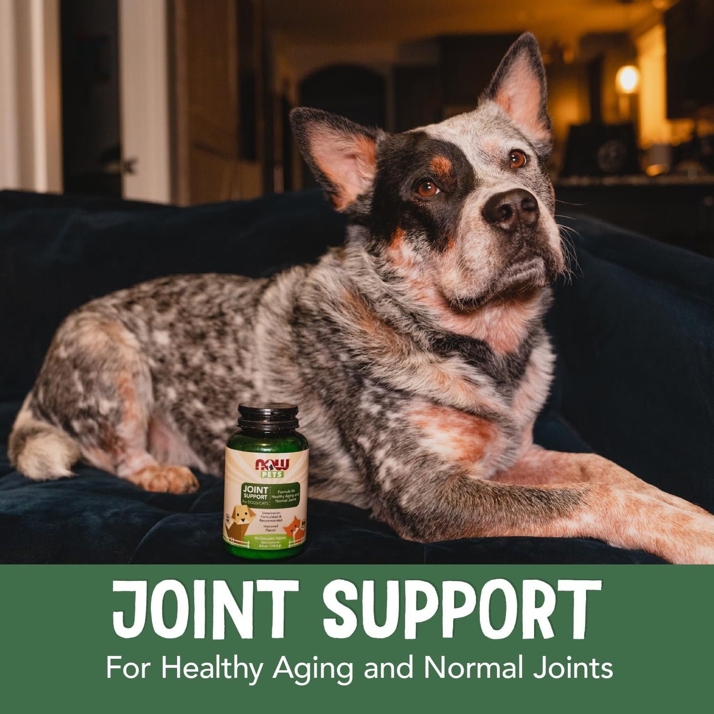 NOW Pet Health, Joint Support Supplement, Formulated for Cats & Dogs, NASC Certified, 90 Chewable Tablets - Pet Explorer