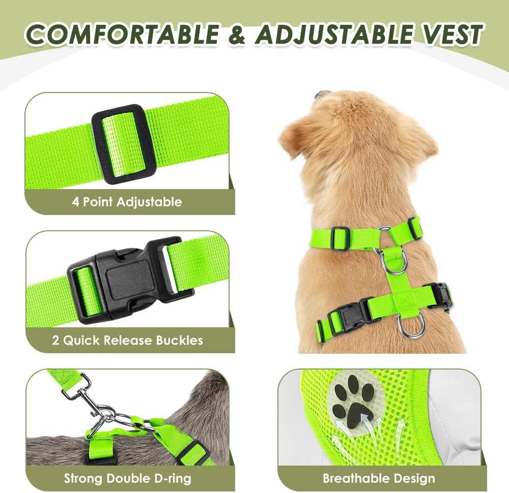 SlowTon Dog Seat Belt Harness for Car, Dog Car Harness Adjustable Mesh Breathable & Dog Seatbelt Safety Tether with Elastic Bungee for Small Medium Large Pets(Lime, Double Clip, XXS) - Pet Explorer