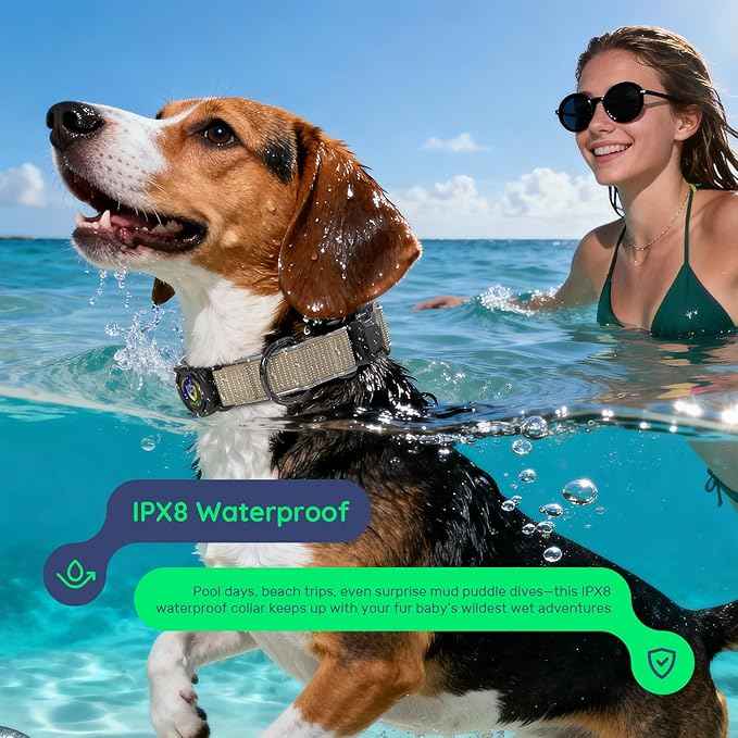 WhoseID Premium AirTag Dog Collar - Air Tag Small Dog Collar | Fur-Safe Magnetic Buckle | IPX8 Waterproof Reflective Dog Collar with AirTag Holder