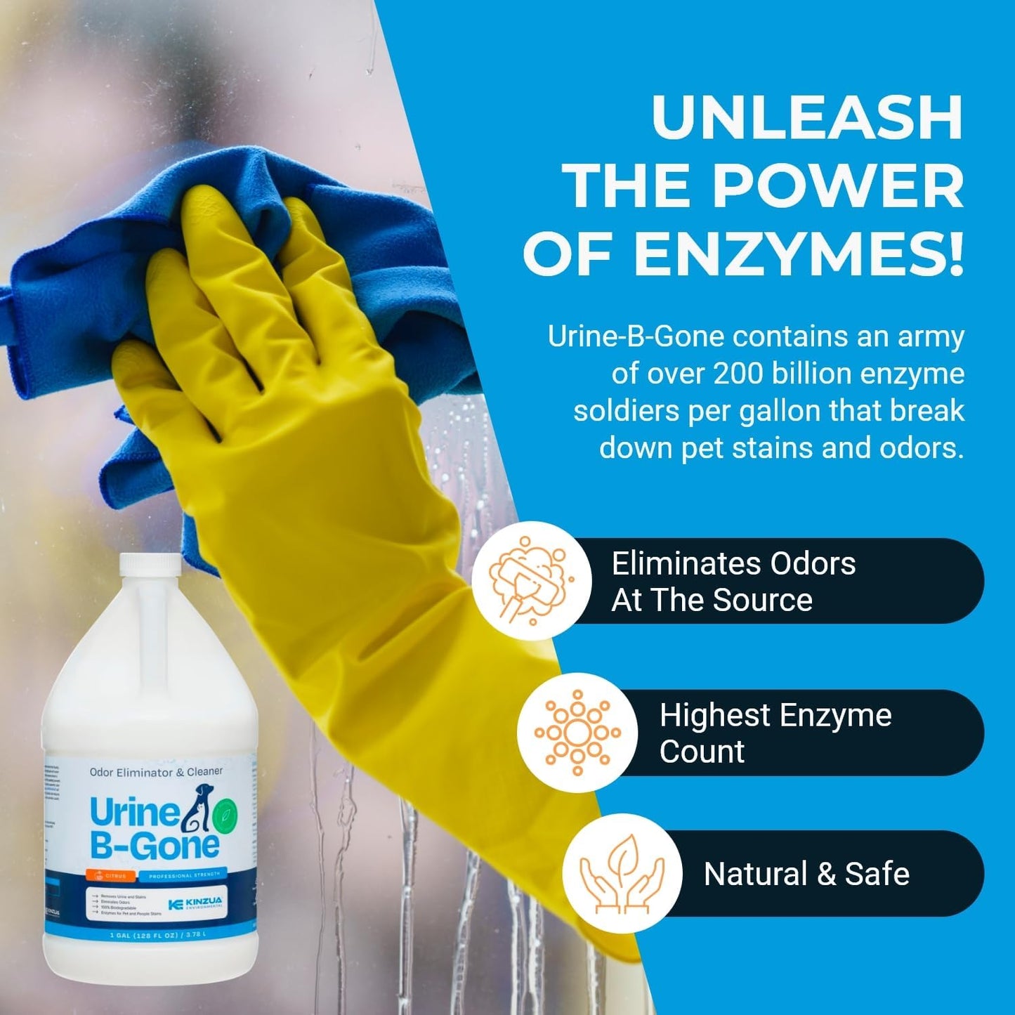 KINZUA ENVIRONMENTAL Urine B-Gone, Professional Enzyme Odor Eliminator & Pet Stain Remover, Human, Cat & Dog Urine Cleaner, Effective on Laundry, Carpets & More, Citrus Scent, 1 Gallon - Pet Explorer