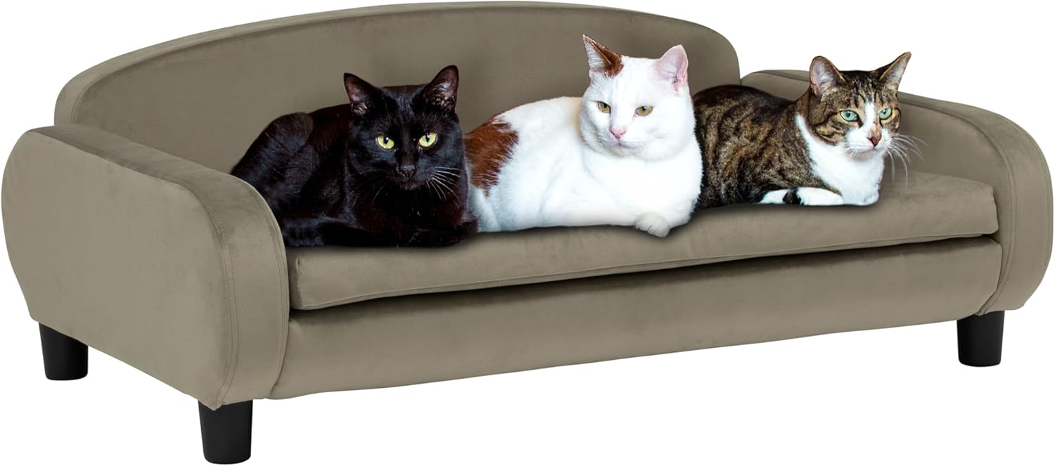 Paws & Purrs Multi-Cat Sofa Bed – 41.5″ Wide Elevated Pet Couch with 3″ Foam Mattress, Removable Machine-Washable Cover – Stylish Indoor Pet Furniture for Two or More Cats and Dogs, Ash - Pet Explorer