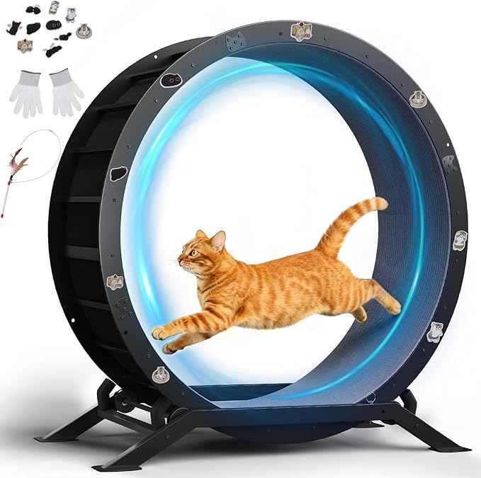 GTPLAYER Cat Wheels, Large Cat Exercise Wheel for Indoor Cats, 40"Diameter cat treadmill Detachable Carpet & Teaser, stickers, Ultra-quiet scroll wheel With latch, Suitable for Most Cats, Metal, Gray