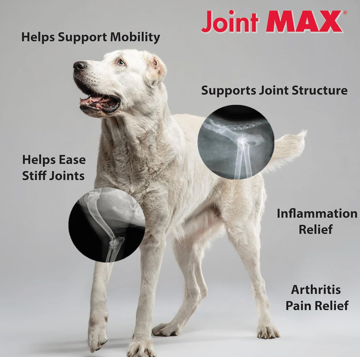 Triple Strength Hypo-Allergenic Soft Chews for Dogs - Hip and Joint Support Supplement with Glucosamine, Chondroitin, & MSM - Made in The USA - 120 Soft Chews - Pet Explorer