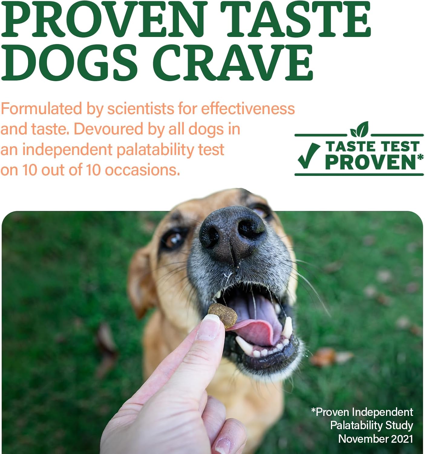 Doggie Dailies Senior Essentials Multivitamin for Dogs Soft Chews | Advanced Dog Multivitamin | Nutritional Support for Joints, Skin & Coat, Digestion, and the Immune System | Bacon Flavor | 120 Count - Pet Explorer