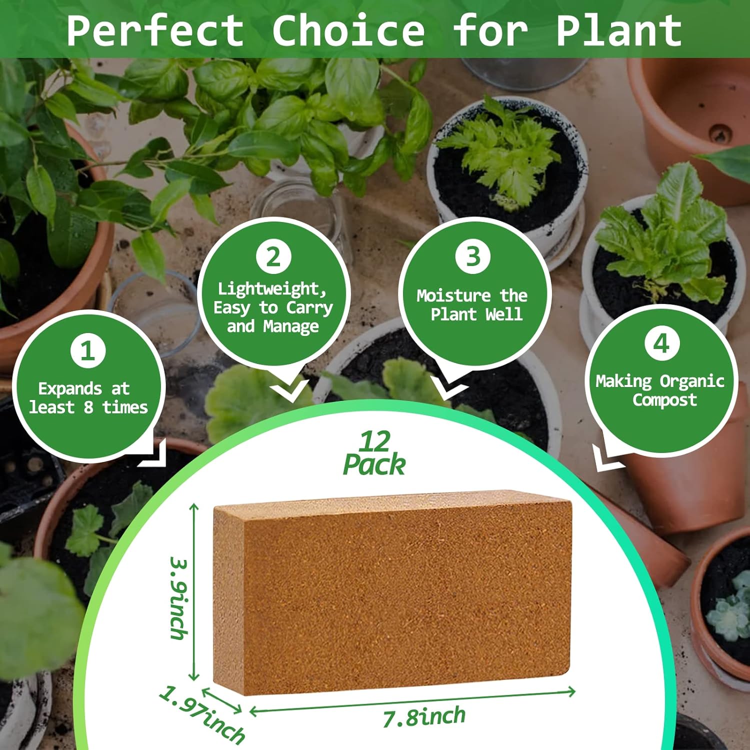 Riare 12pcs Organic Coco Coir Bricks Soil Blocks- 100% Natural Compressed Coco Peat Brick Coconut Fiber Substrate with Low EC& pH Balance, High Expansion Coco Coir Pith Coconut Husk for Garden - Pet Explorer