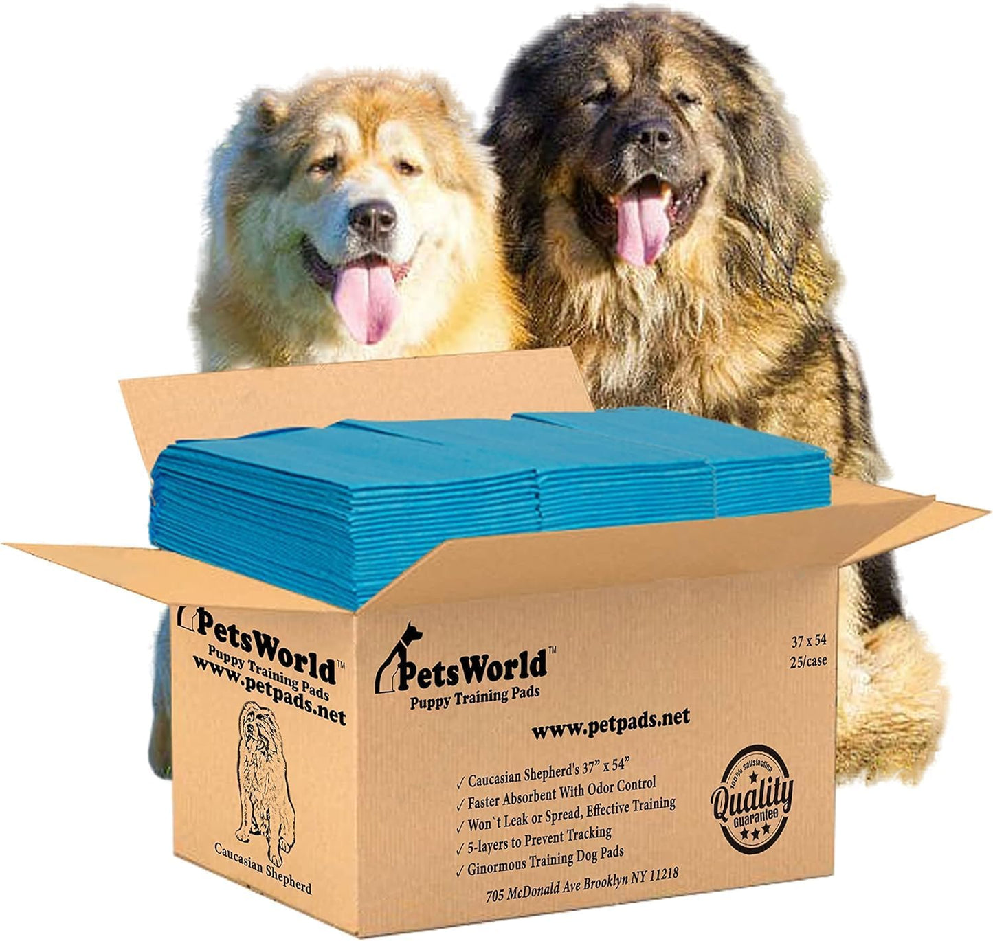 PETSWORLD Enormous Dog Training & Potty Pads, 37x54 inch - Tear Resistant with Strong Leak-Proof Backing, Optional Adhesive Tape, 25 Count