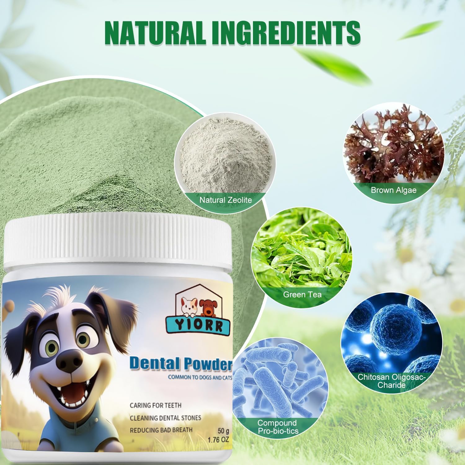 Dog Dental Powder - Dog Teeth Cleaning Powder,Pet Breath Freshener for Teeth Cleaning,Tartar Remover & Reduces Plaque & Bad Breath,Dental Care Supplies for Dogs Cat-Beef Flavor 50g - Pet Explorer