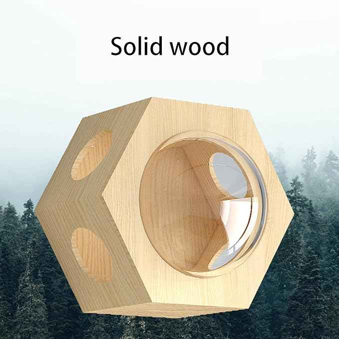Cat Climbing Wall Mounted Cat Bed Wooden Includes House Bridge Tree Steps and Scratcher (color01)