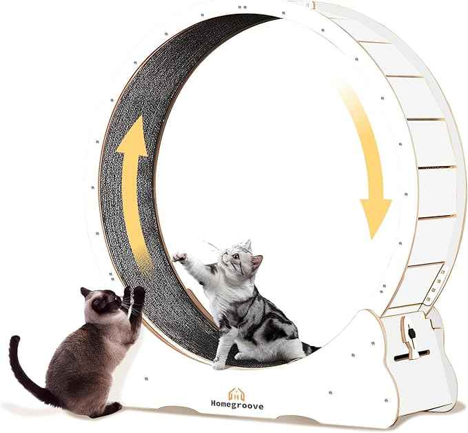 Homegroove Cat Running Wheel, 45" Large XL Cat Exercise Wheel Treadmill with Carpeted Runway, Sport Toy for Kitty’s Longer Life (XL, White)