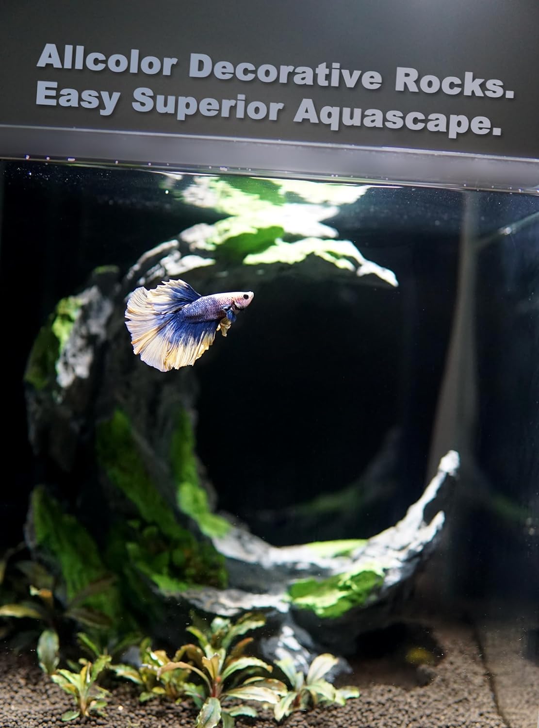 Fish Tank Decor Rocks.Aquarium Decoration Model.Easy Superior Aquascape (Moon Valley) - Pet Explorer
