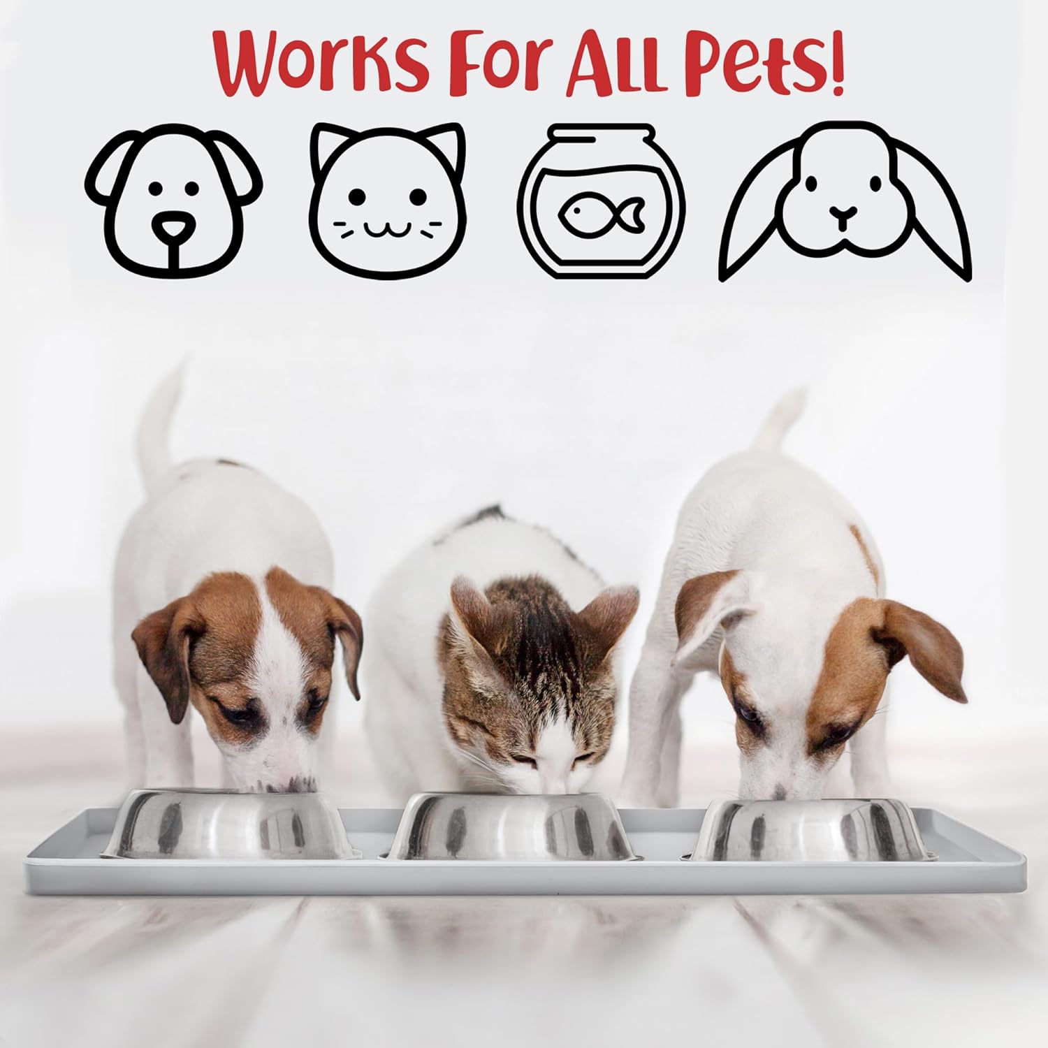 DogBuddy Dog Food Mat – Waterproof Dog Bowl Mat for Food and Water, Silicone Pet Feeding Mats for Floors, Non-Slip Placemat with High Edges for Dogs Bowls, Puppy Essentials (M: 21” x 14”, Mist) - Pet Explorer