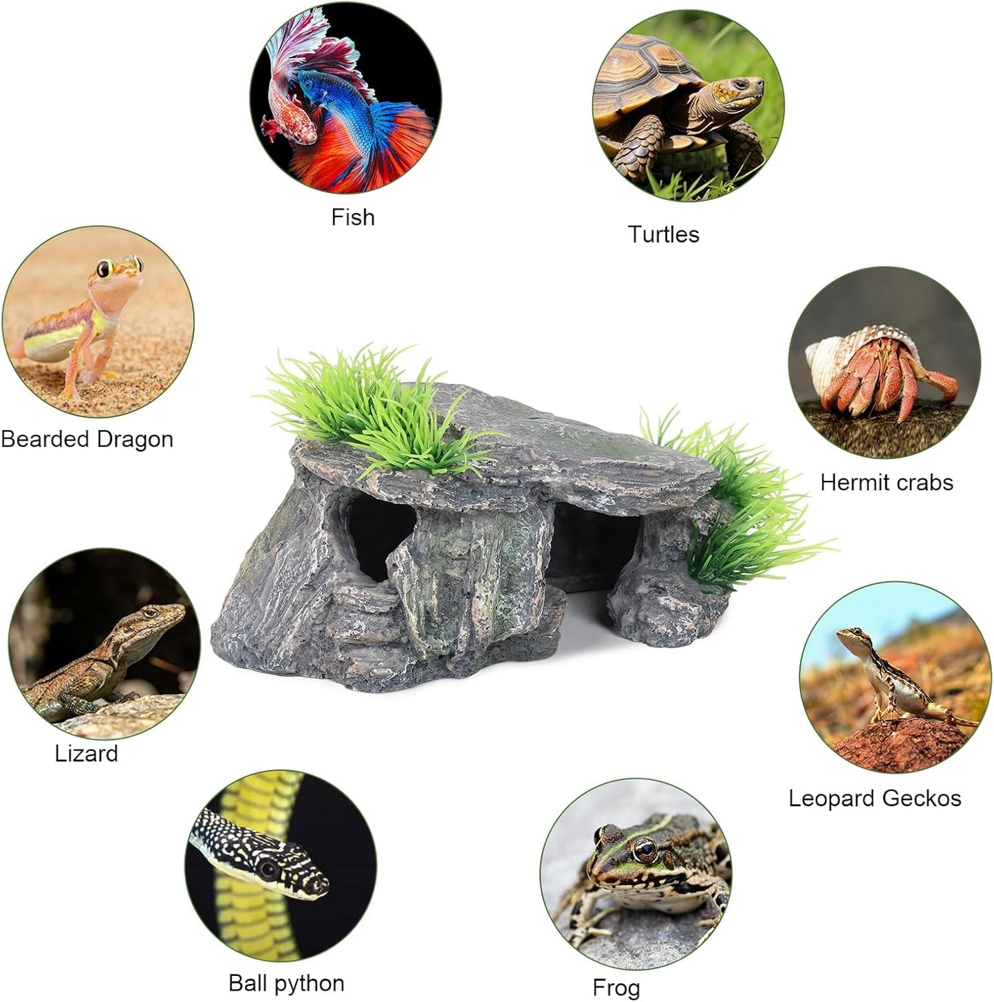 Premium Small Fish Tank Decorations, Reptile Tank Accessories, Turtle Tank Accessories, Natural Reptile Hide for Bearded Dragon, Professional Turtle Basking Platform (Small) - Pet Explorer
