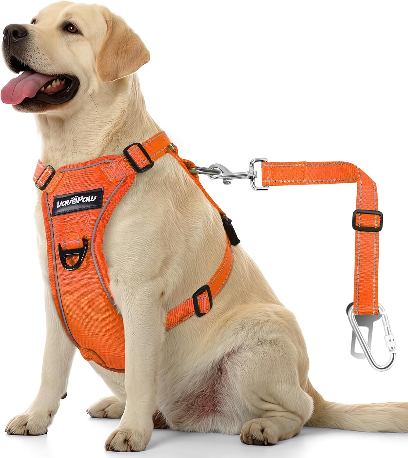 Dog Seat Belt Harness for Car, Dog Car Harness Adjustable Mesh Breathable & Dogs Seatbelt Safety Tether with Elastic Bungee for Small Medium Large Pets(Orange, L) - Pet Explorer