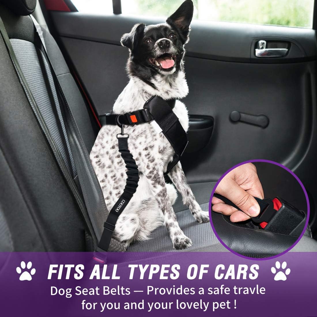 COOYOO Dog Seat Belt,Retractable Dog Car Harness Seat Belt for Car Adjustable Nylon Pet Safety Seat Belts Heavy Duty & Elastic Bungee Buffer - Pet Explorer