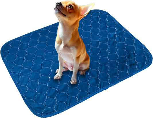 2Pack Washable Pee Pads for Dogs 18”x24”, Quick Dry Puppy Pads, Waterproof, Non Slip, Premium Reusable Dog Training Pads - Pet Explorer