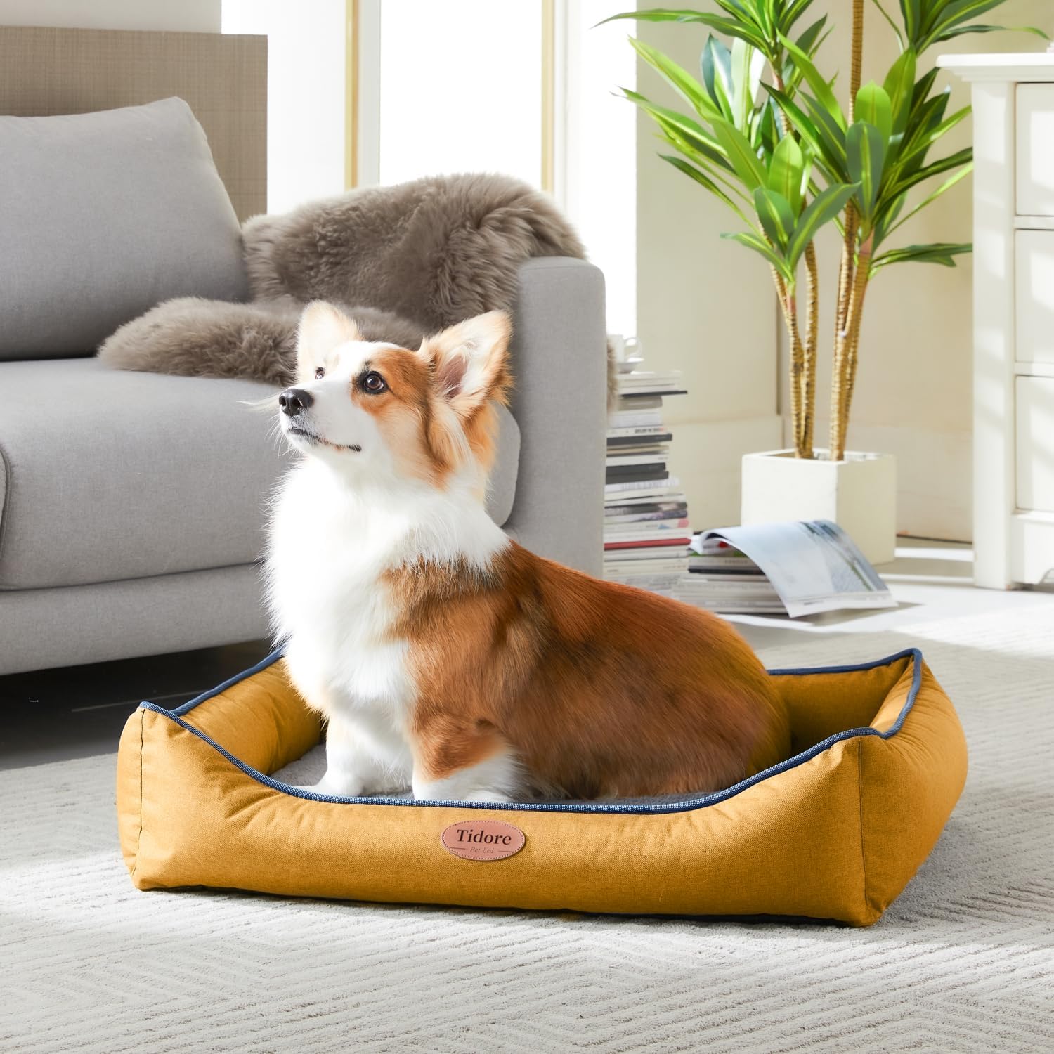 Orthopedic Dog Beds for Medium Dogs, Durable Egg Crate Foam Sofa Dog Bed wit Washable Removable Cover,Waterproof Lining,Pet Bed for Large Dogs (Mustard Yellow, 31.5" L x 25.2" W x 7" Th) - Pet Explorer
