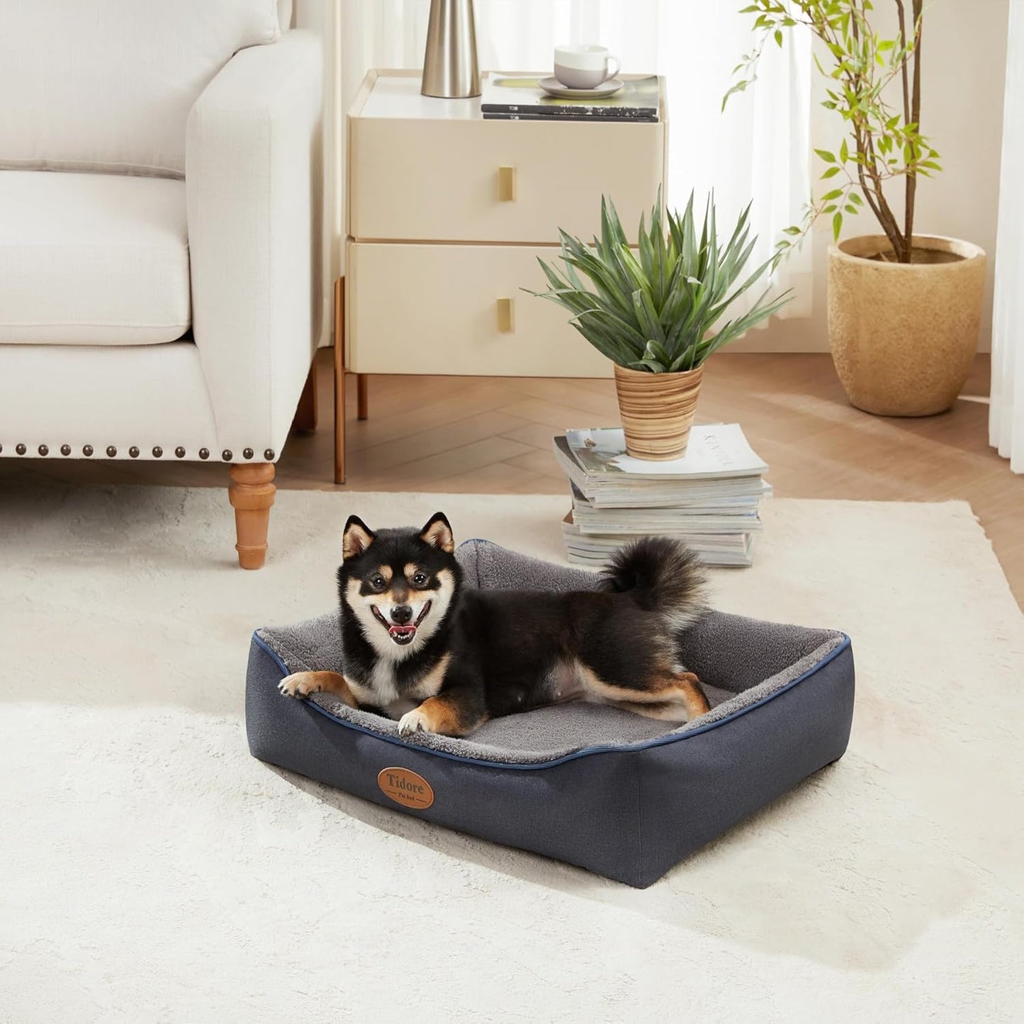 Orthopedic Dog Beds for Medium Dogs, Durable Egg Crate Foam Sofa Dog Bed wit Washable Removable Cover,Waterproof Lining,Pet Bed for Large Dogs (Navy Blue-Velvet, 26.4" L x 21.7" W x 6.2" Th) - Pet Explorer