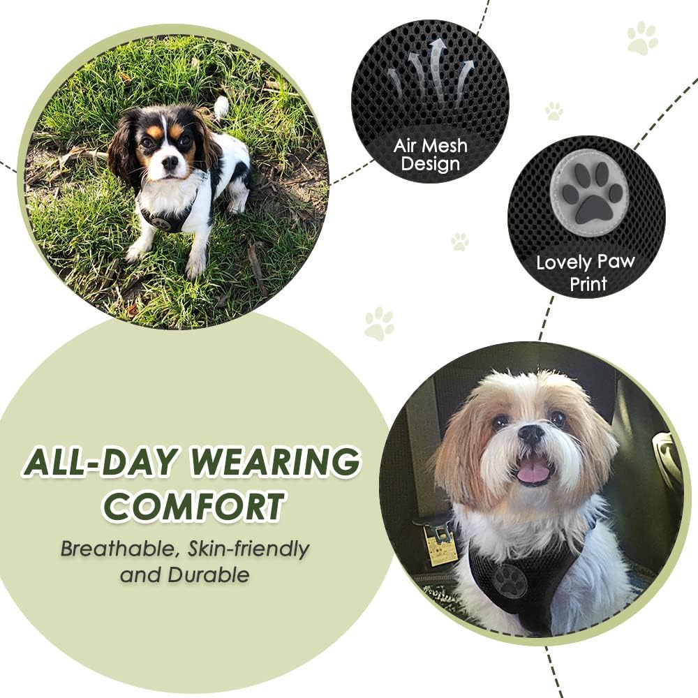 SlowTon Dog Seat Belt Harness for Car, Dog Car Harness Adjustable Mesh Breathable & Dog Seatbelt Safety Tether with Elastic Bungee for Small Medium Large Pets(Black, Single Clip, XS) - Pet Explorer