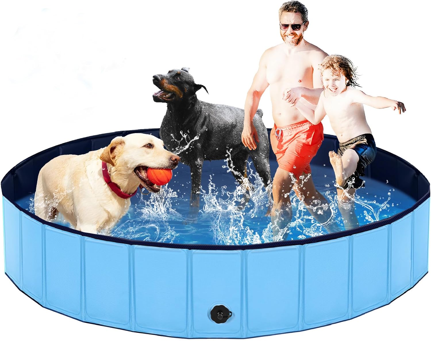 Foldable Dog Pool, Lexda Hard Plastic Shell Pet Swimming Pools for Large Dogs, Collapsible Plastic Pet Pool, Portable Bathing Tub for Dogs (79x12inch) - Pet Explorer