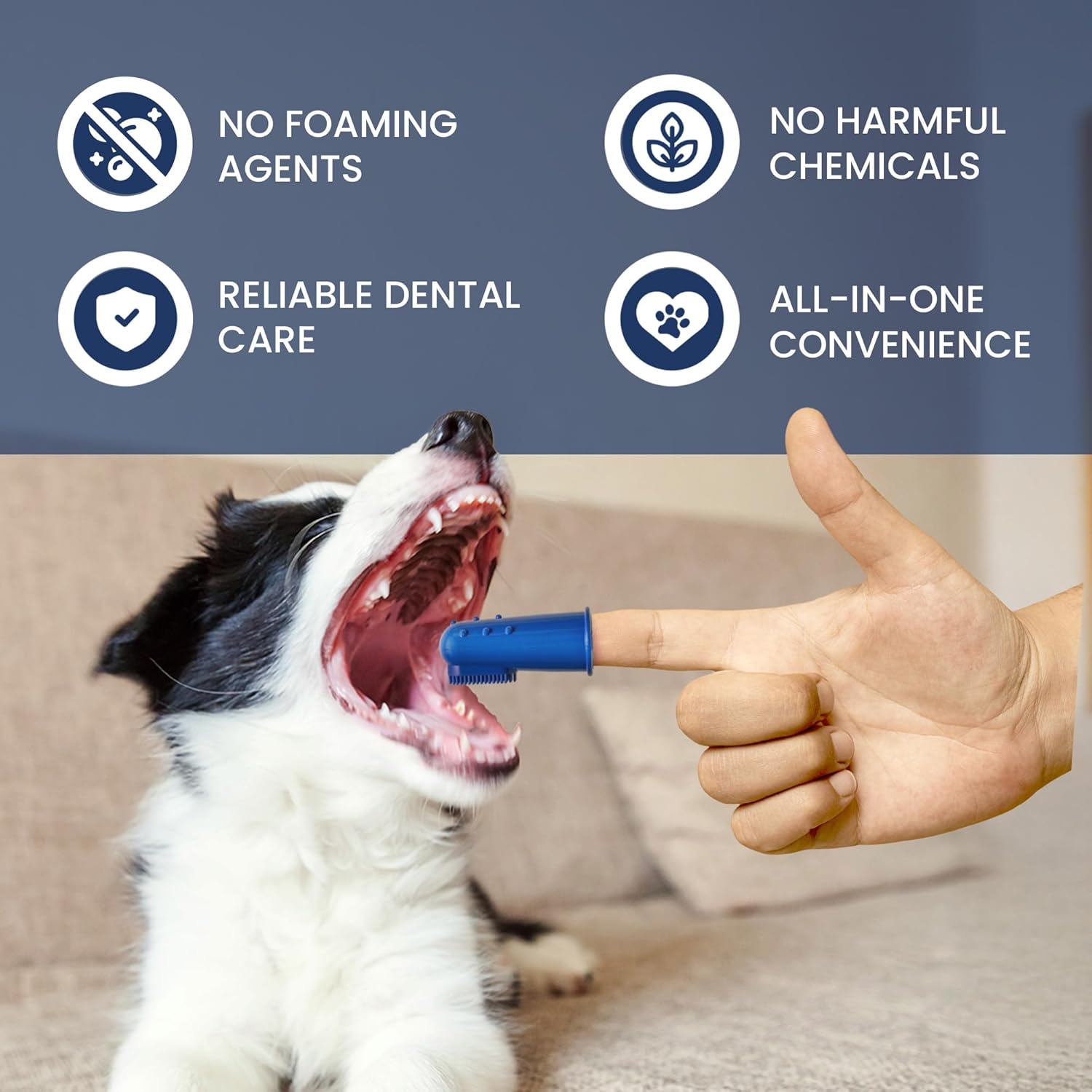 Rad Health Dental Kit - Dog Toothbrush and Toothpaste Kit for Daily Oral Care, Dual Brushes for Deep Cleaning, Safe for Cats & Dogs, Reduces Bad Breath, Prevents Gum Disease - Pet Explorer