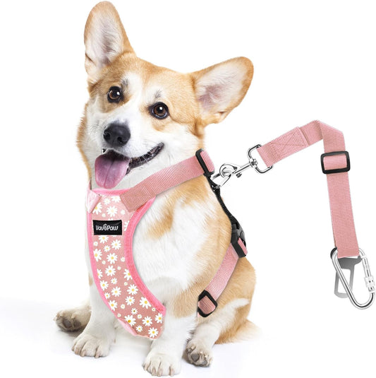 Dog Seat Belt, Safety Vest Dog Car Harness with Adjustable Buckle Dog Seat Belt for Vehicle Nylon Pet Safety Seat Belts Heavy Duty(S, Pink Daisy) - Pet Explorer