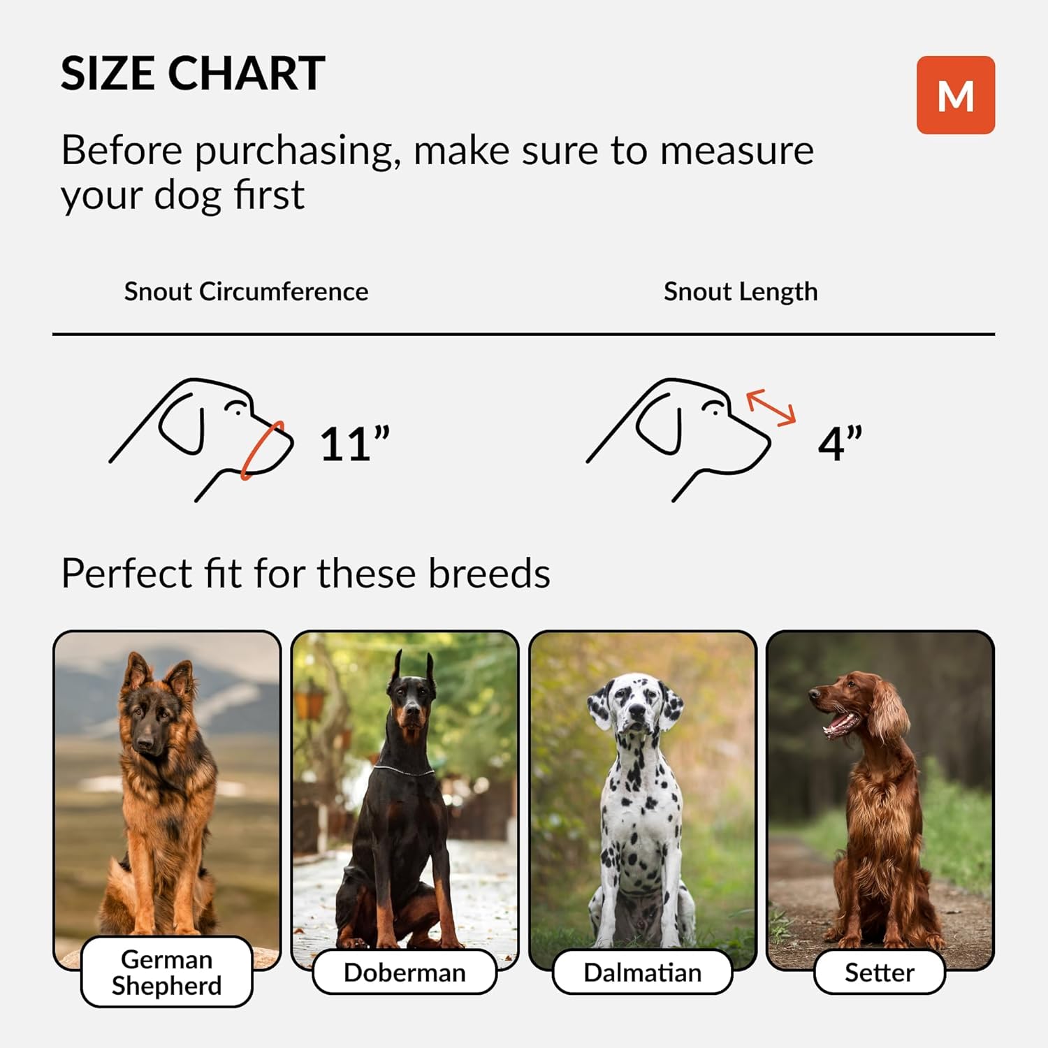 CollarDirect Dog Muzzle German Shepherd Dalmatian Doberman Setter Leather Basket Medium Large Breeds (Grey, Medium) - Pet Explorer