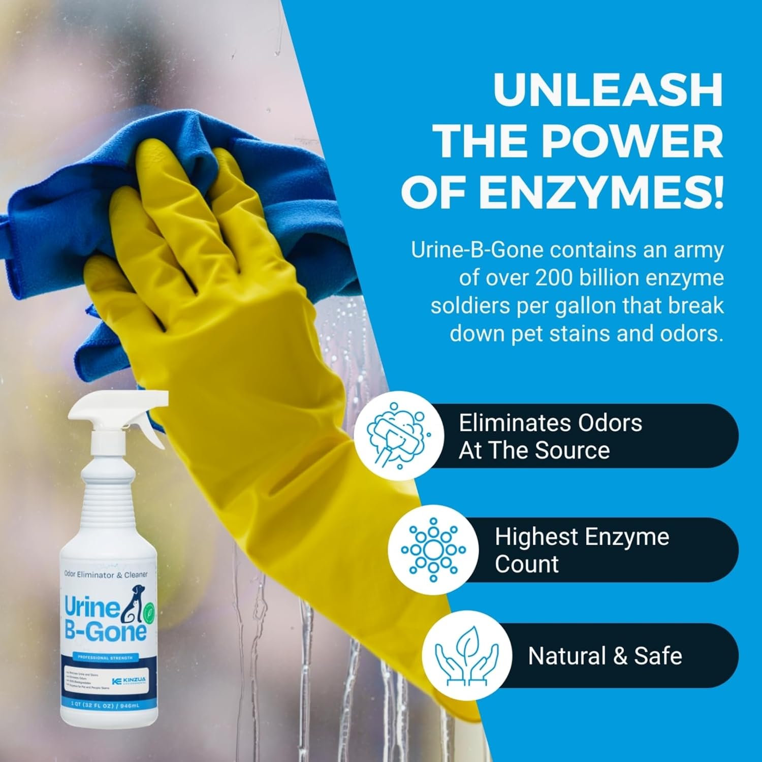 KINZUA ENVIRONMENTAL Urine B-Gone, Professional Enzyme Odor Eliminator & Pet Stain Remover, Human, Cat & Dog Urine Cleaner, Effective on Laundry, Carpets & More, Original Scent, 32oz - Pet Explorer