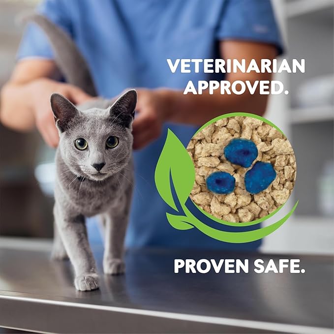 WORLD'S BEST CAT LITTER® Boosters™ Health Check-in™ | Cat Litter Additive for Health Monitoring | UTI Monitoring and Detection with Color Changing Indicator | Vet Approved | Single Packet, 12g