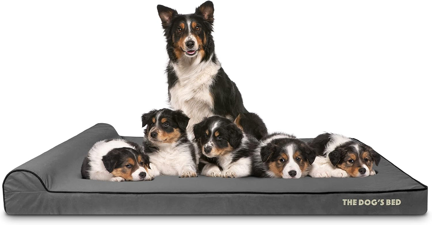 The Dog’s Bed Orthopedic Headrest Dog Bed XXXL Grey/Black 64x44, Memory Foam, Pain Relief for Arthritis, Hip & Elbow Dysplasia, Post Surgery, Lameness, Veterinary Approved, Waterproof Washable Cover - Pet Explorer