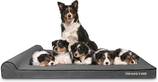 The Dog’s Bed Orthopedic Headrest Dog Bed XXXL Grey/Black 64x44, Memory Foam, Pain Relief for Arthritis, Hip & Elbow Dysplasia, Post Surgery, Lameness, Veterinary Approved, Waterproof Washable Cover - Pet Explorer