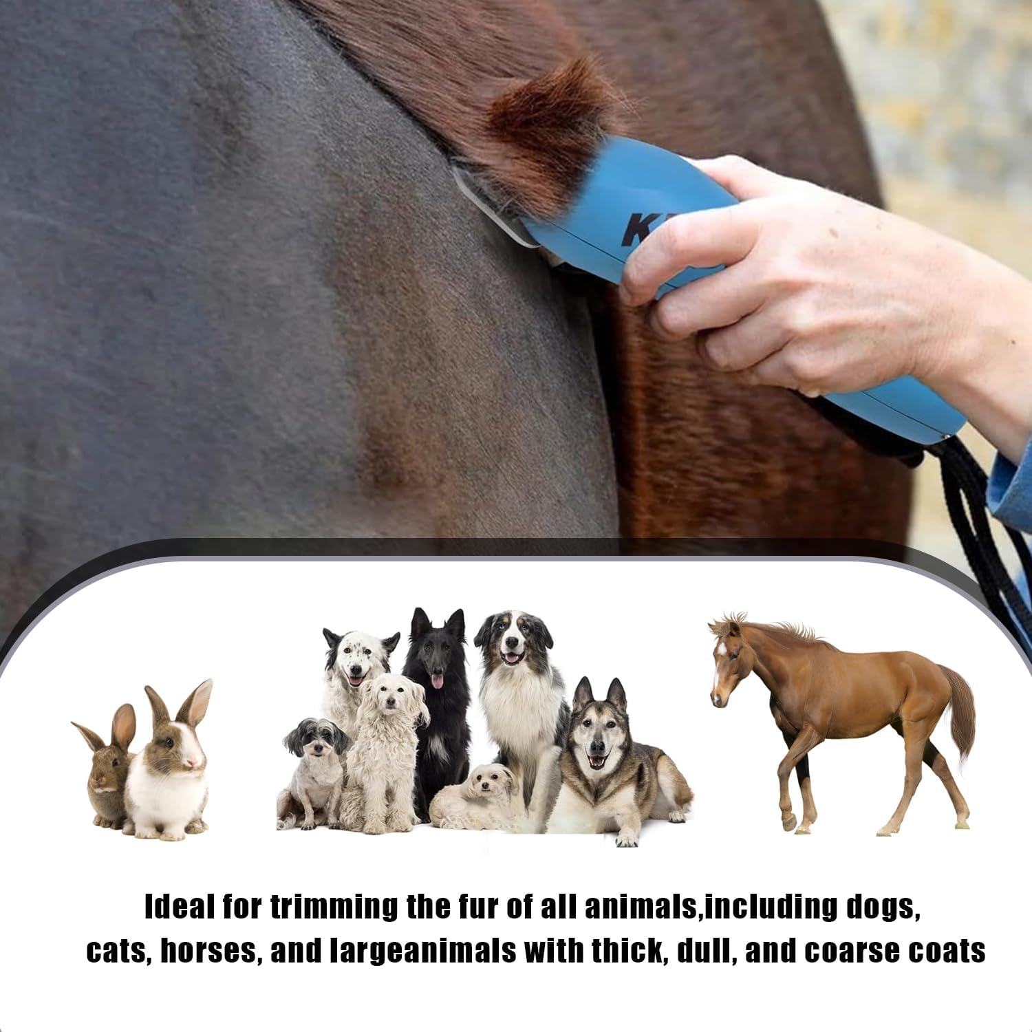 Wide Blade 4FW, Pet Dog Grooming Blade Compatible with Andis,Oster A5,Wahl km10 Clippers, Grooming Wide Blade, A5 Type Blade,for Animal Dog,Cat,Horse (30W+7FW+5FW+4FW) - Pet Explorer