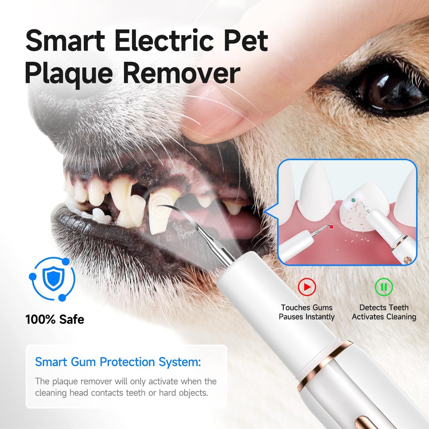 Electric Dog Plaque & Tartar Remover - Pet Teeth Cleaning Kit with LED Light, 5 Adjustable Modes, Safe and Low Noise – Easy Home Dental Care for Dogs and Cats - Pet Explorer