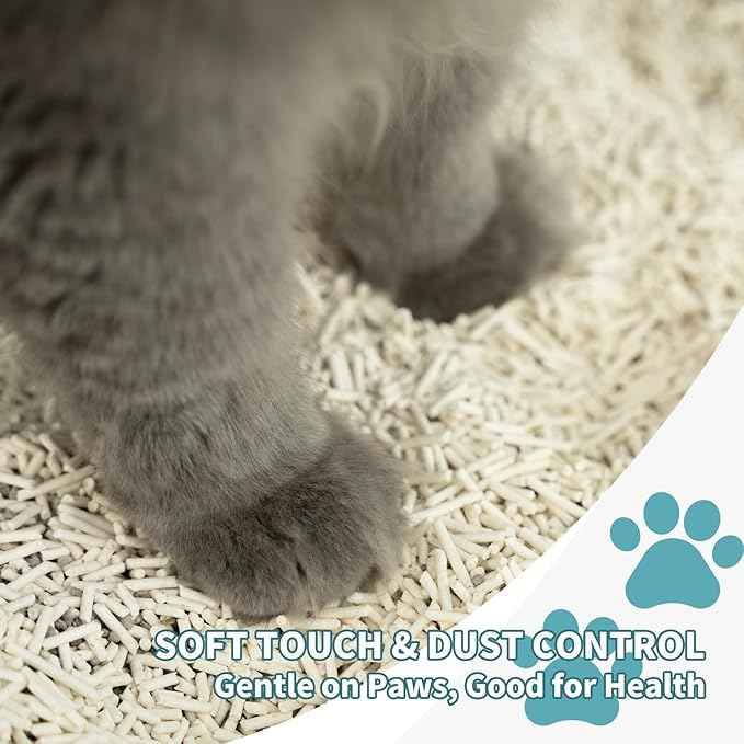 Plant-Based Cat Litter, Odor Control Quick Clumping Tofu Cat Litter, 6 lbs, Low Tracking Dust Control Lightweight Flushable Unscented Natural Kitty Litter