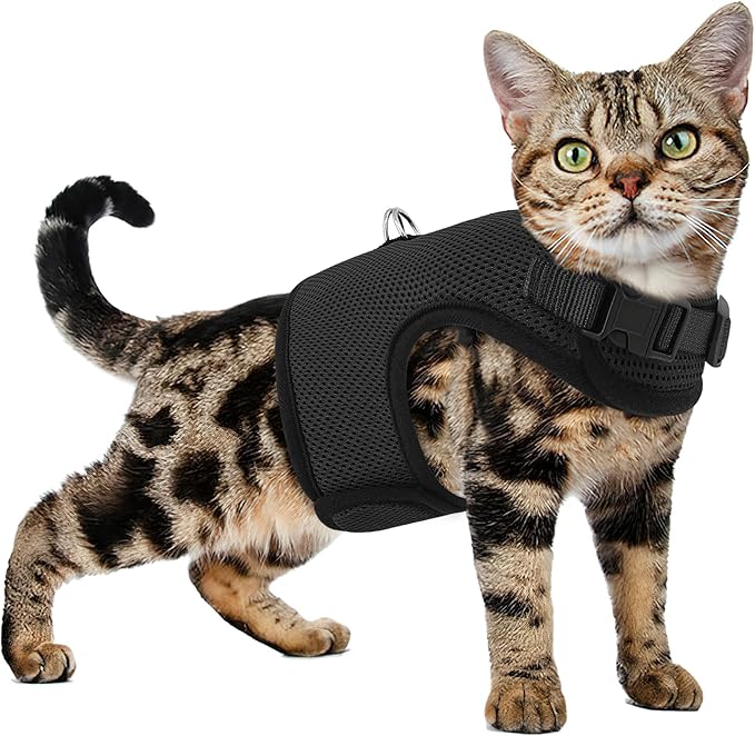 Athena Collection Adjustable Cat Harness with Velcro, Portable Small Sized Cat Vest Harness Breathable Comfy Escape Proof Cat Kitten Harness Pet Supplies for Outdoor Walking, Training, Black