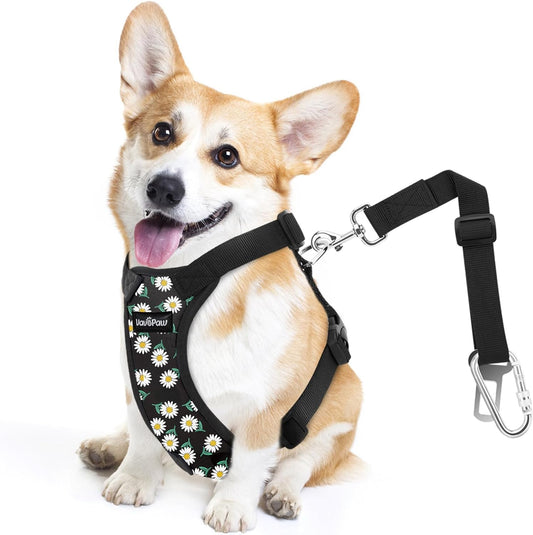 Dog Seat Belt, Safety Vest Dog Car Harness with Adjustable Buckle Dog Seat Belt for Vehicle Nylon Pet Safety Seat Belts Heavy Duty(S, Black Daisy) - Pet Explorer