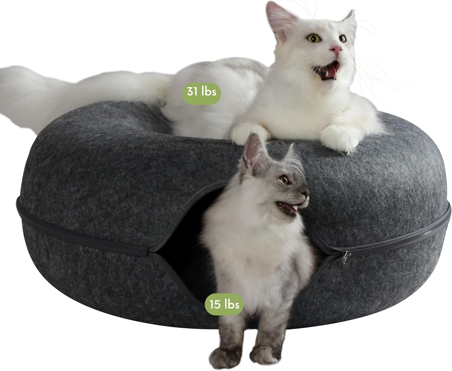 CATTASAURUS Peekaboo Cat Cave for Multiple & Large Cats Up to 30-45 Lbs, Scratch Detachable & Washable Tunnel Bed, Comfy Donut Cat Cave (Dark Gray, Jumbo) - Pet Explorer