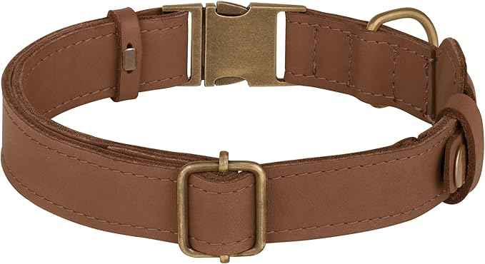 AirTag Dog Collar - Genuine Leather Dog Collar with Apple AirTag Holder and Metal Buckle - Smart GPS Tracking Pet Collars (Tawny, XL, 20"-25" Neck Fit)
