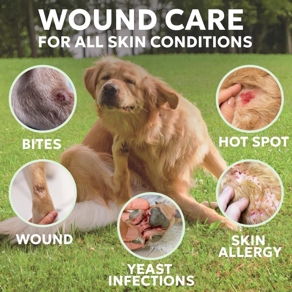 Forticept Hot Spot Spray for Dogs Cats & Horses, Itch Relief Wound Cleanser with Aloe Vera, 8 oz - Pet Explorer