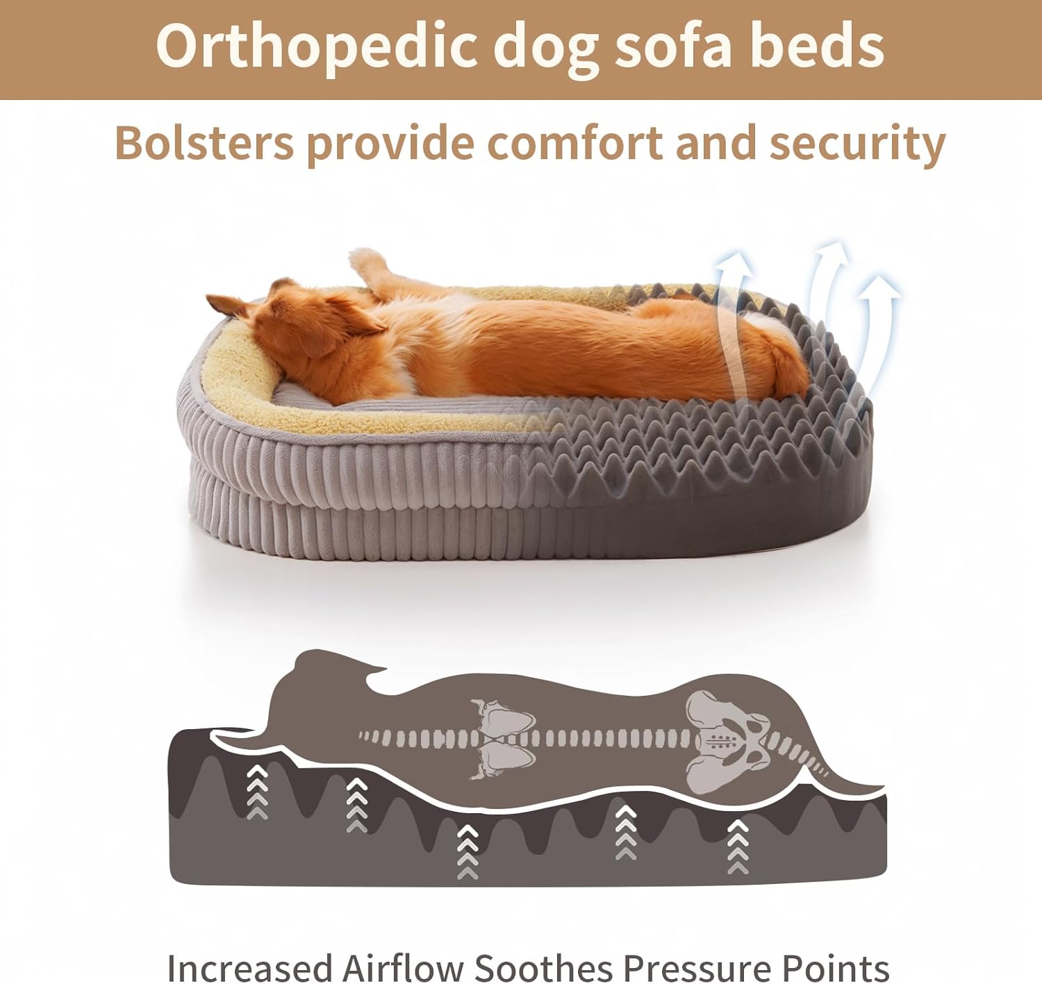 Orthopedic Dog Bed for Puppy,Extra Small Dogs Breeds,Oval Cat Bed,High Density Egg Crate Foam Dog Sofa Beds,Pet Couch Bed with Four Sided Bolster,Removable Washable Cover&Non-Slip Bottom - Pet Explorer