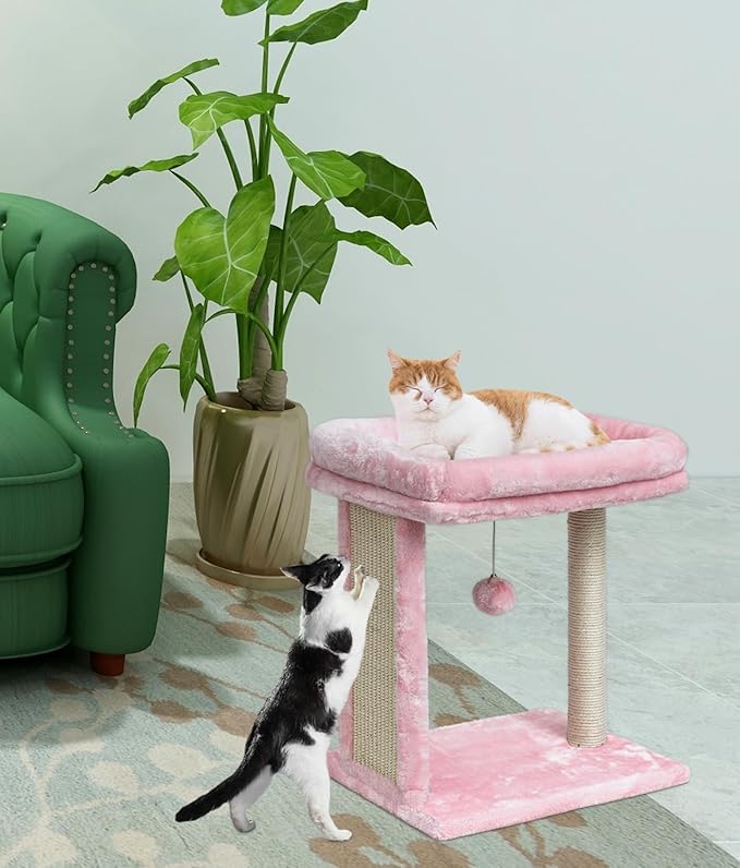 SYANDLVY Small Cat Tree for Indoor Cats, Scratching Board with Perch & Scratching Post, Kittens Scratcher with 2 Dangling Balls, Pink