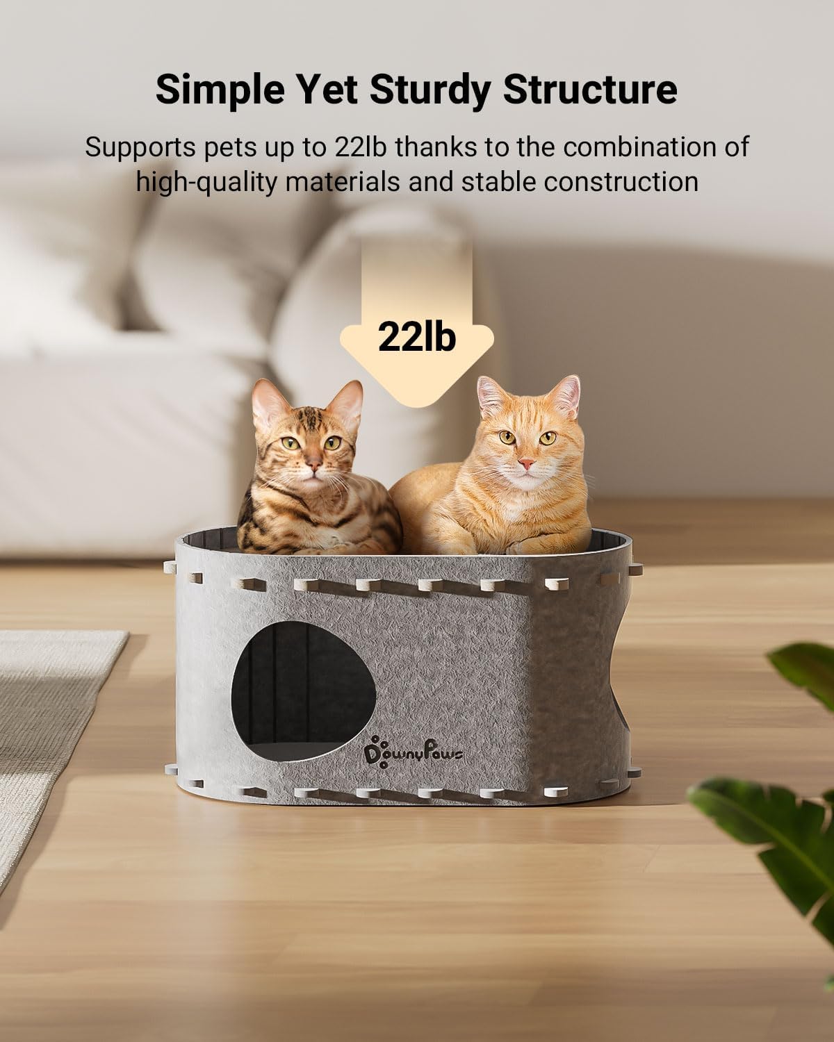 DownyPaws Cat House for Indoor Cats, Cat Bed Cave for Multiple & Large Cats Up to 22 Lbs, Scratch Resistant, Foldable Peekaboo Kitten Caves Tunnel Enclosed Bed, PeekaPurr, Light Gray - Pet Explorer