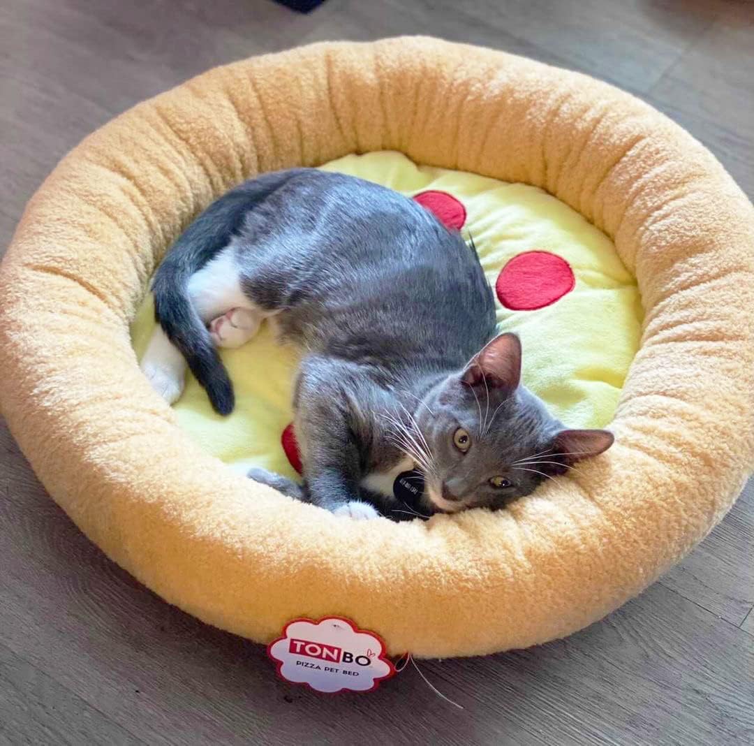 TONBO Soft Plush Small Cute and Cozy Food Dog Cat Bed, Washer and Dryer Friendly (Pizza) - Pet Explorer