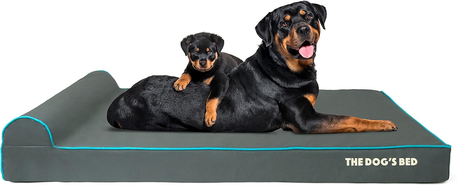The Dog’s Bed Orthopedic Headrest Dog Bed XXL Grey/Blue 54x36, Memory Foam, Pain Relief for Arthritis, Hip & Elbow Dysplasia, Post Surgery, Lameness, Veterinary Approved, Waterproof Washable Cover - Pet Explorer