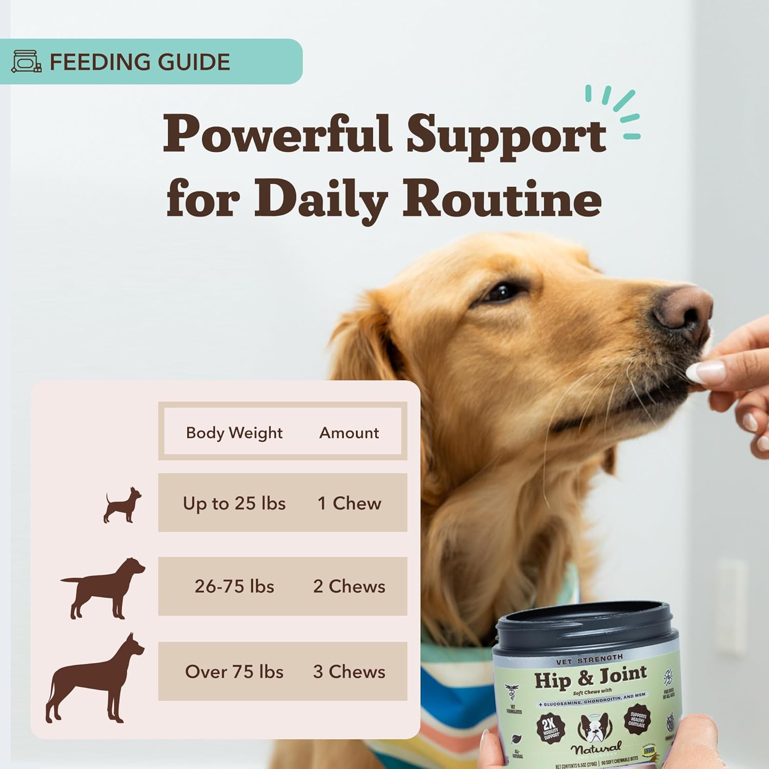 Natural Dog Company Vet Strength Hip & Joint Chews for Senior Dogs (90ct) Joint & Flexibility Support, Arthritis Relief for Senior Dogs, 1.3X Glucosamine, 2X Green Lipped Mussel & MSM for Dog Mobility - Pet Explorer