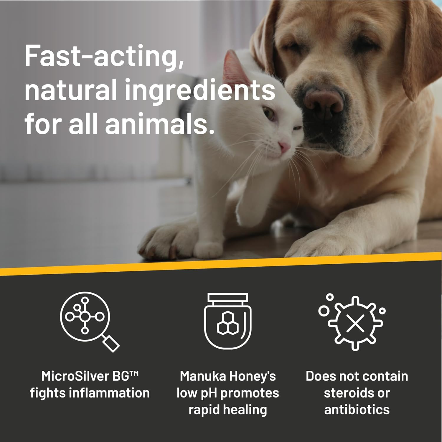 Absorbine Silver Honey Hot Spot & Wound Care Spray Gel 8oz Bottle, Manuka Honey & MicroSilver BG, Medicated for Dogs, Cats, Small Animals - Pet Explorer