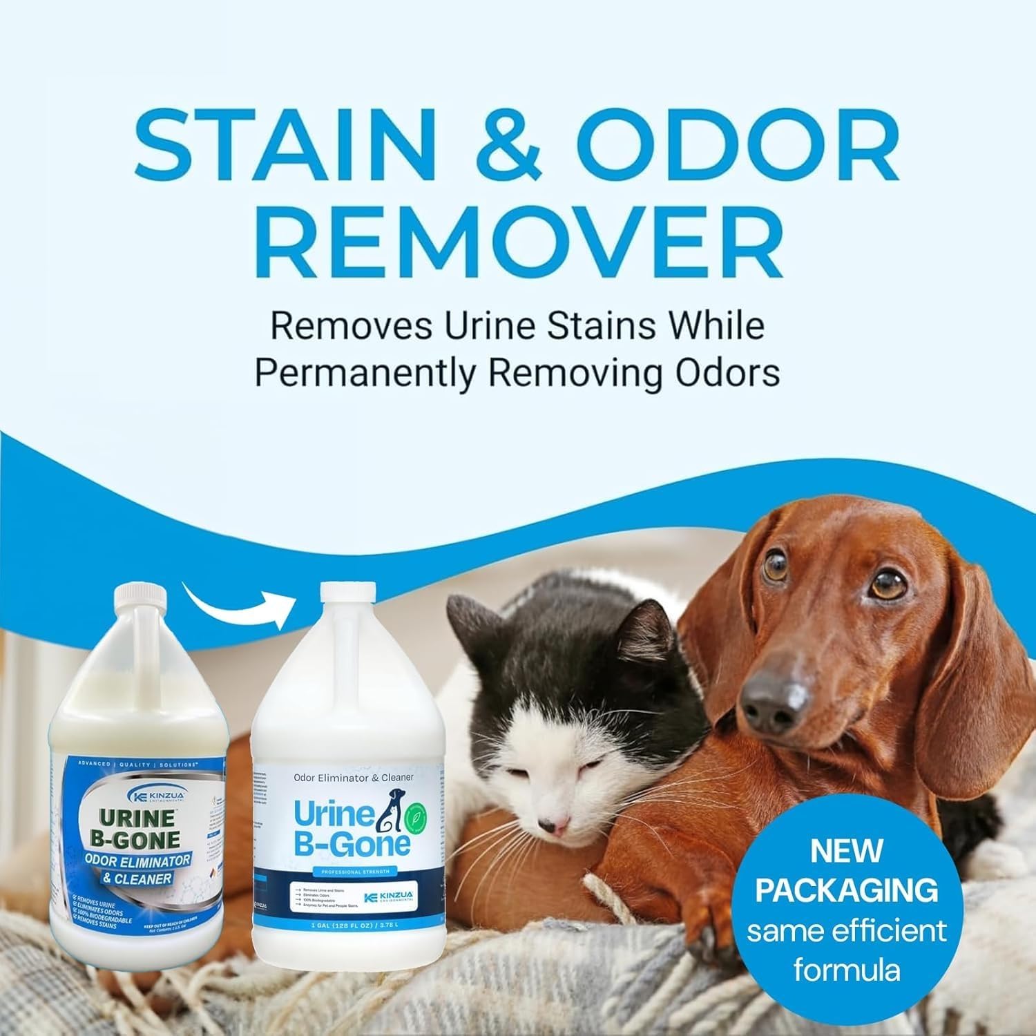 KINZUA ENVIRONMENTAL Urine B-Gone, Professional Enzyme Odor Eliminator & Pet Stain Remover, Human, Cat & Dog Urine Cleaner, Effective on Laundry, Carpets & More, Original Scent, 1 Gallon - Pet Explorer