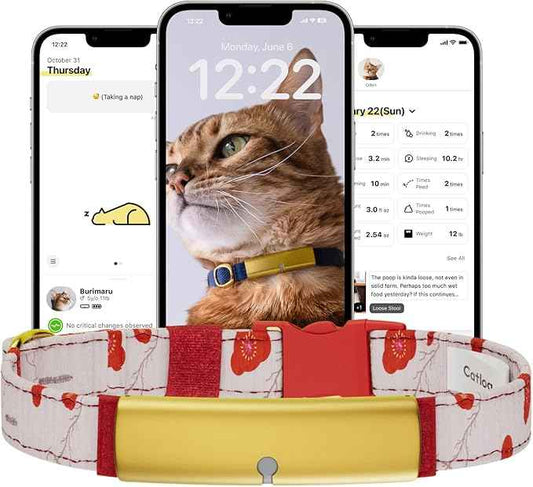 Health Tracker for Cats - Smart Cat Collar with Safety Breakaway Buckle for Indoor Cats, Wellness Alerts, Real-time Monitoring (Kimono (Ume),XS)